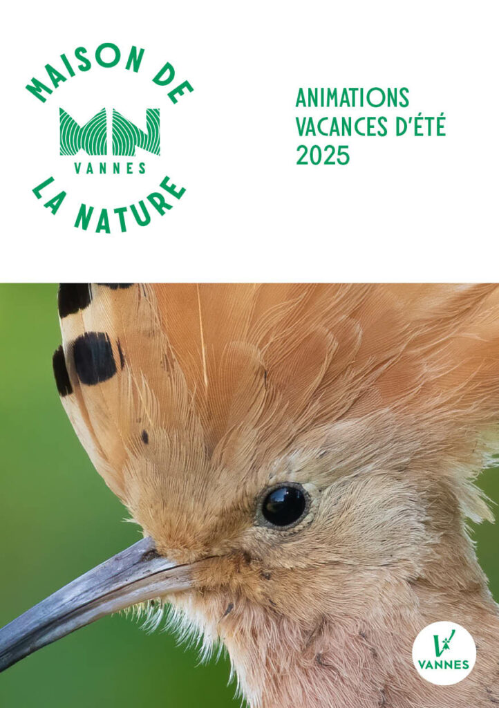 Des sorties d'observation des oiseaux, découverte de ruches d'abeilles, sorties à vélo, et même safari photo dès 5ans, cet été découvrez la Maison de la Nature !