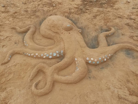 13 juillet : Concours de chateaux de sable